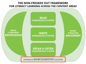 Figure 1: Focusing on One Element of the NFO Framework for a Personal PD "Research Sprint." This is what I focused on.